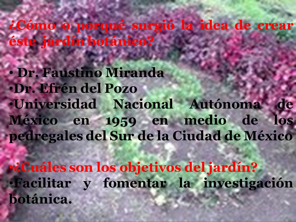 ¿Cómo o porqué surgió la idea de crear éste jardín botánico