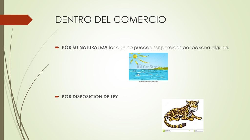 DENTRO DEL COMERCIO POR SU NATURALEZA las que no pueden ser poseídas por persona alguna.