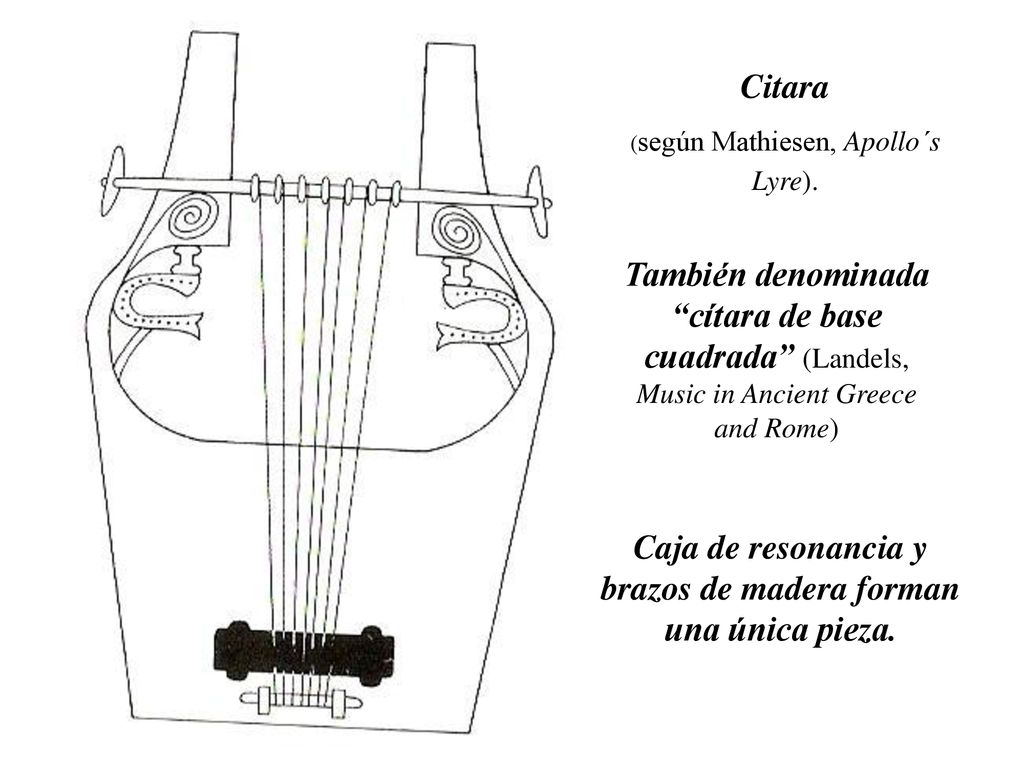 Caja de resonancia y brazos de madera forman una única pieza.