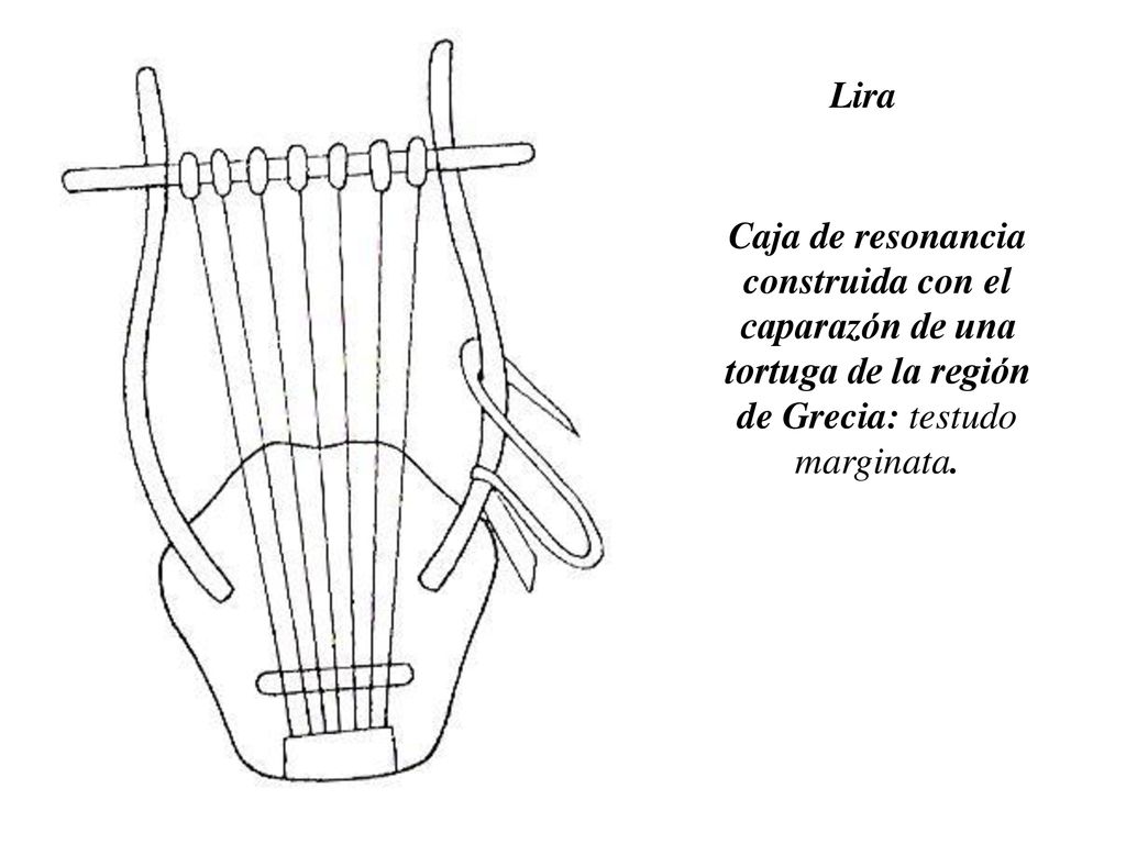 Lira Caja de resonancia construida con el caparazón de una tortuga de la región de Grecia: testudo marginata.