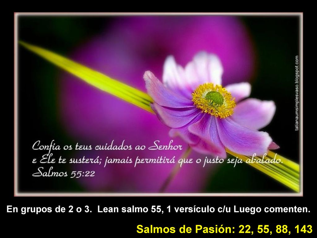 • [salmo 55:22] > Encomienda al SEÑOR tus afanes, y él te sostendrá; no permitirá que el justo caiga y quede abatido para siempre.