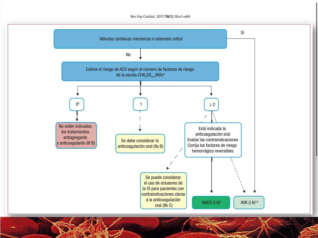 En este flujograma se aprecia en forma muy clara las consideraciones que debemos tener en cuenta para decidir si se anticoagula o no y el tipo de tratamiento.