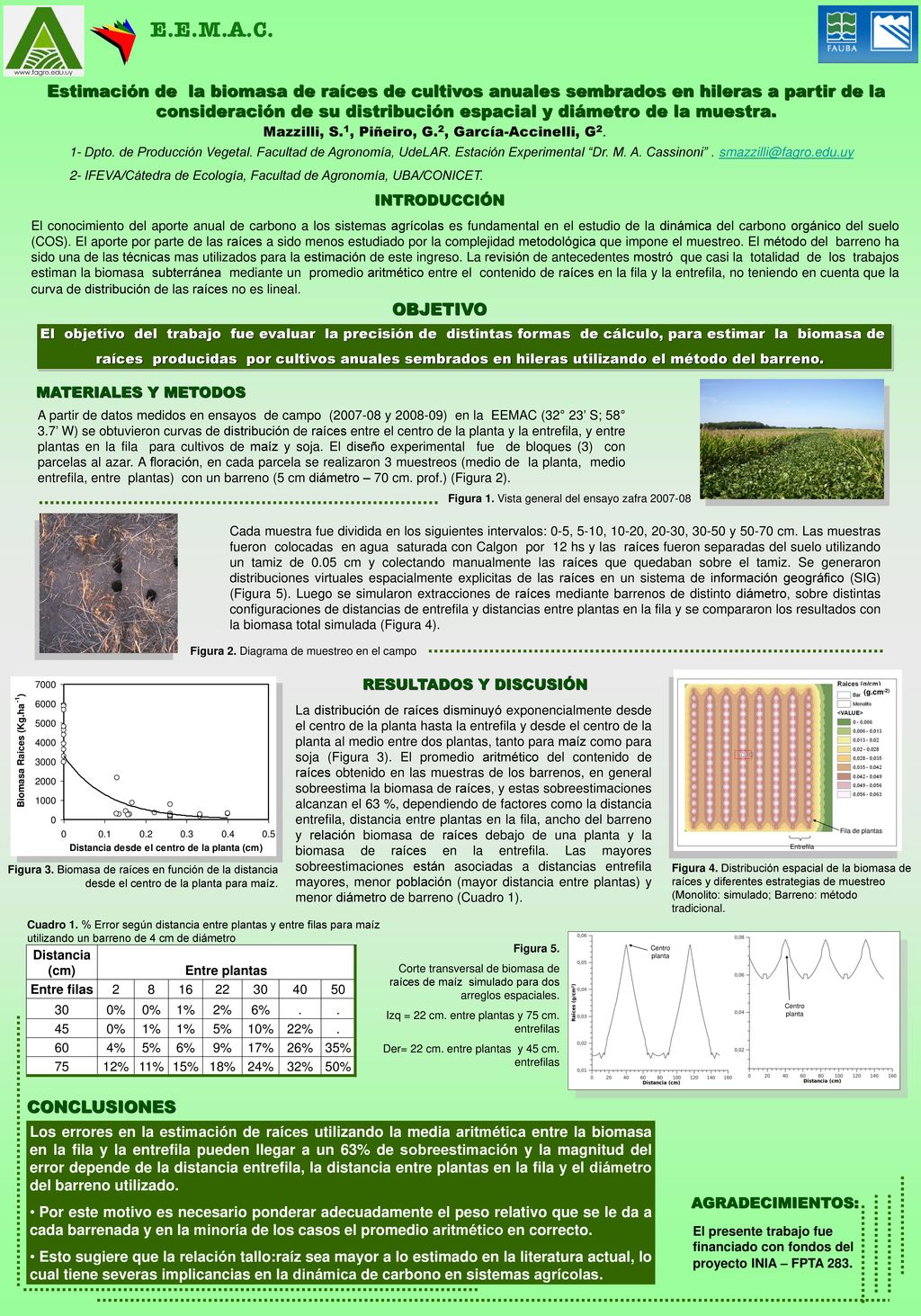 Estimación de la biomasa de raíces de cultivos anuales sembrados en hileras a partir de la consideración de su distribución espacial y diámetro de la muestra.