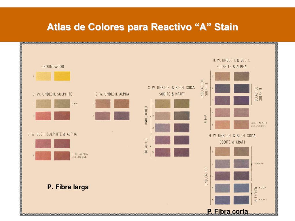 Atlas de Colores para Reactivo A Stain