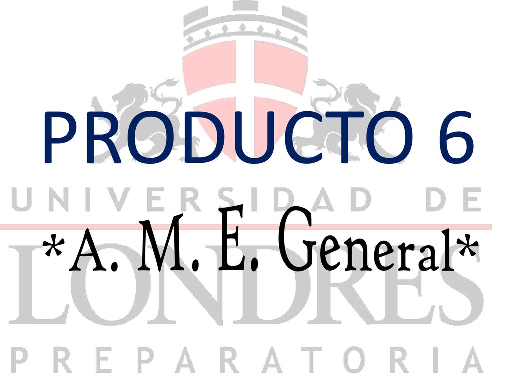PRODUCTO 6 *A. M. E. General*