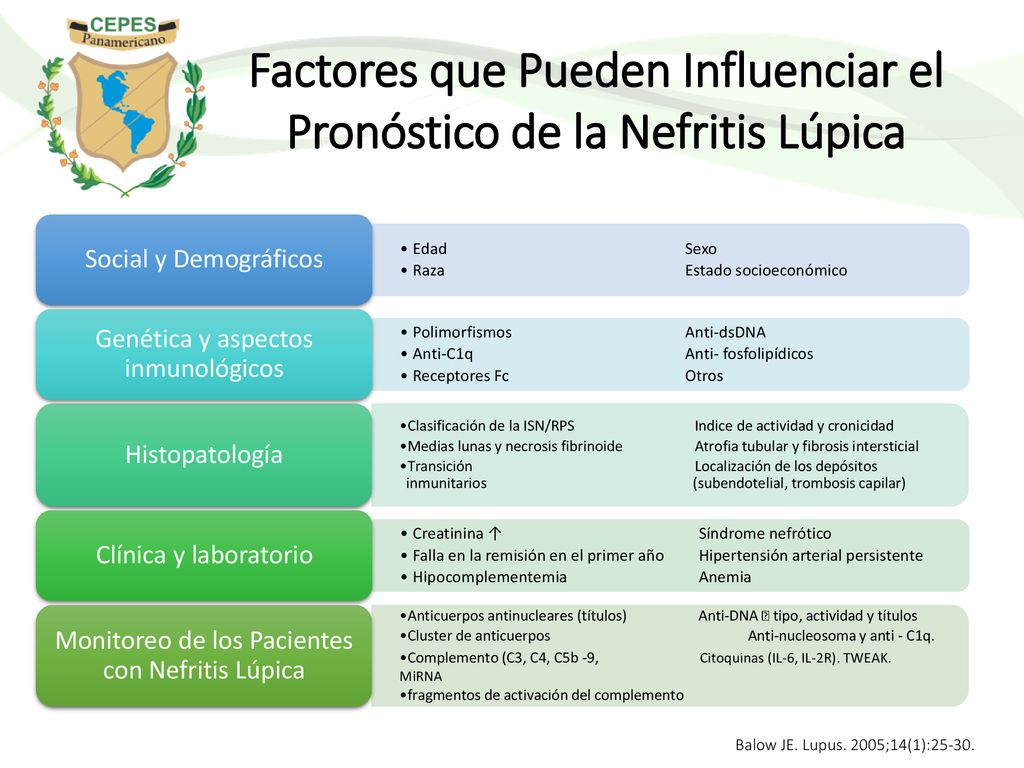 Factores que Pueden Influenciar el Pronóstico de la Nefritis Lúpica