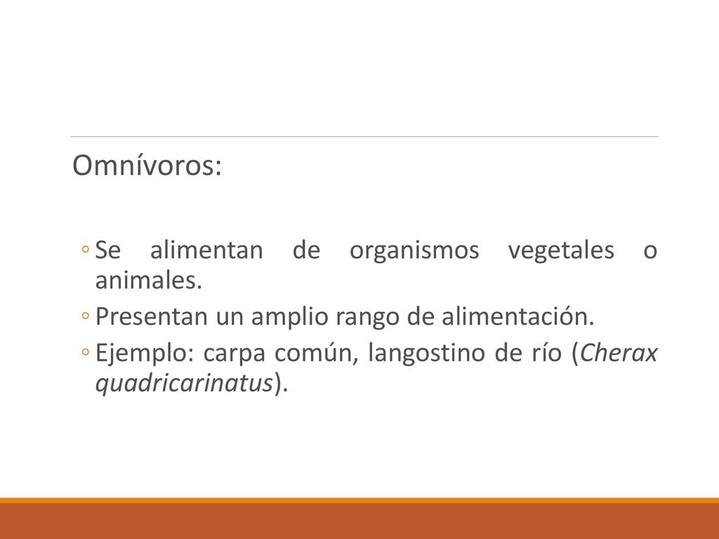 Omnívoros: Se alimentan de organismos vegetales o animales.