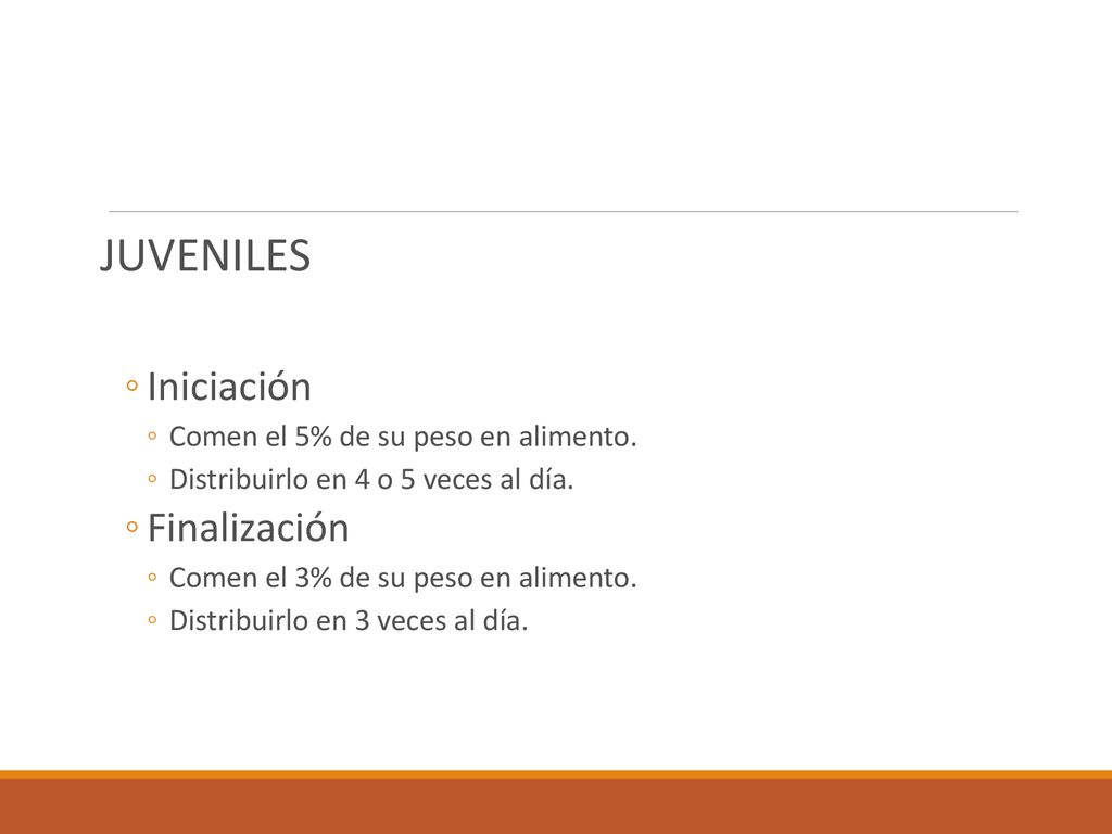 JUVENILES Iniciación Finalización Comen el 5% de su peso en alimento.