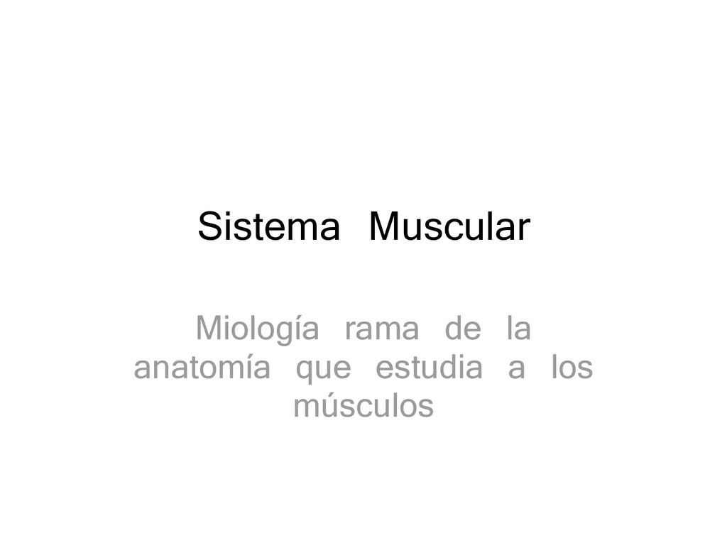 Miología rama de la anatomía que estudia a los músculos