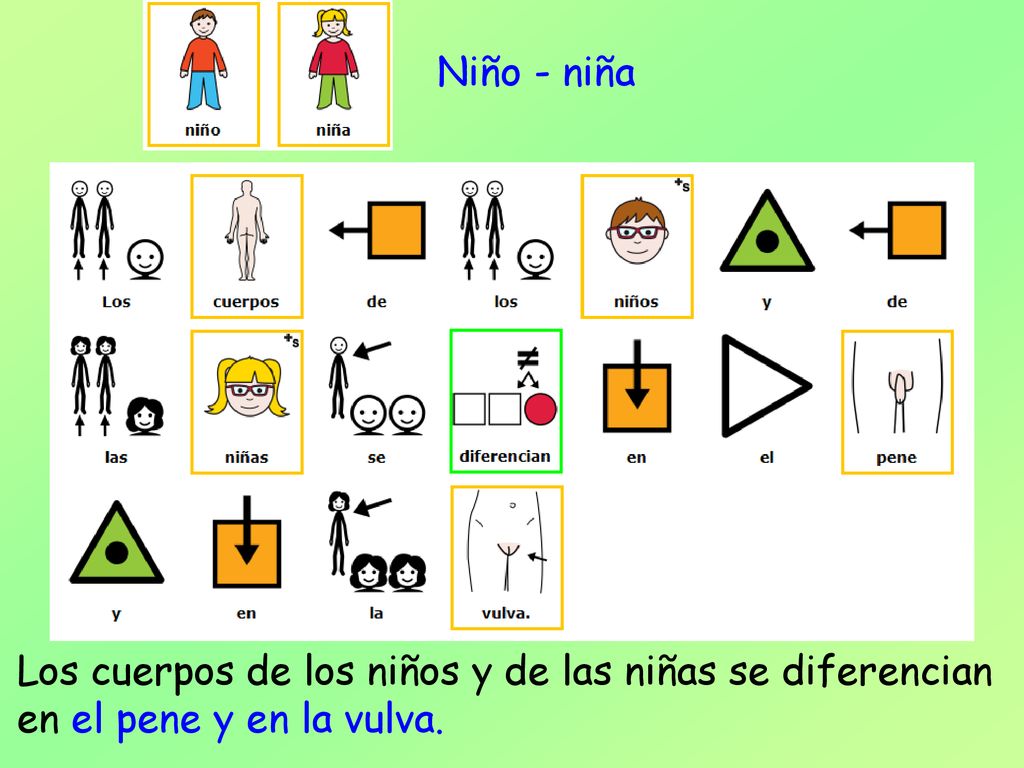 Niño - niña Los cuerpos de los niños y de las niñas se diferencian en el pene y en la vulva.