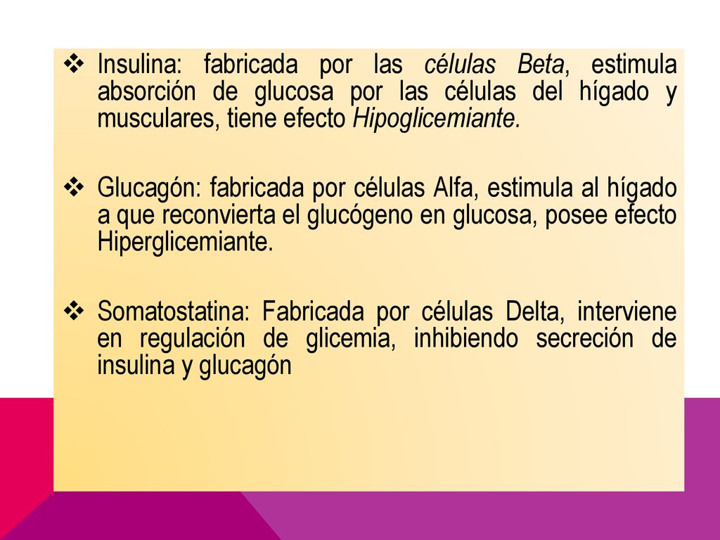 Insulina: fabricada por las células Beta, estimula absorción de glucosa por las células del hígado y musculares, tiene efecto Hipoglicemiante.