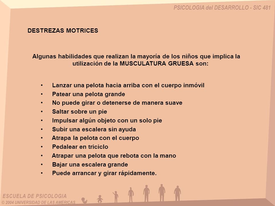 DESTREZAS MOTRICES Algunas habilidades que realizan la mayoría de los niños que implica la utilización de la MUSCULATURA GRUESA son: