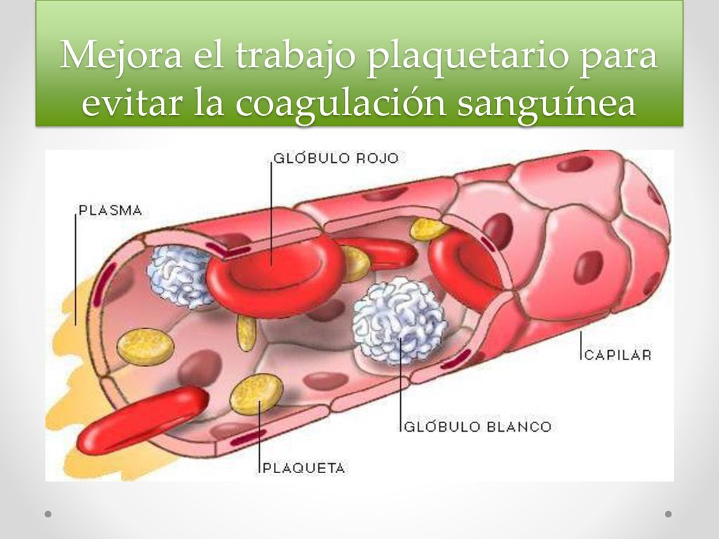 Mejora el trabajo plaquetario para evitar la coagulación sanguínea