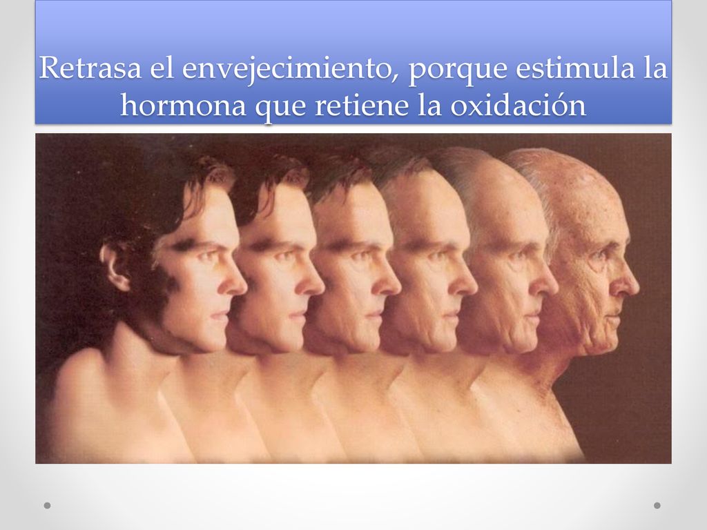 Retrasa el envejecimiento, porque estimula la hormona que retiene la oxidación
