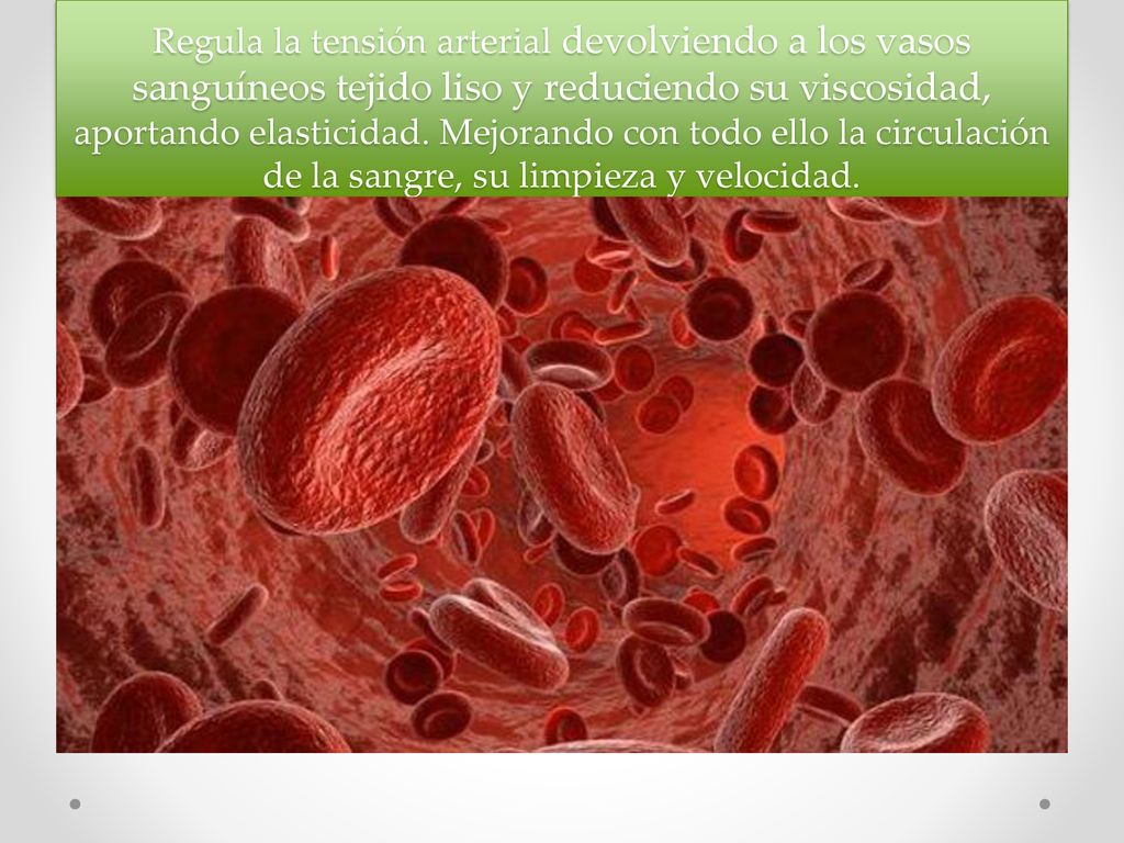 Regula la tensión arterial devolviendo a los vasos sanguíneos tejido liso y reduciendo su viscosidad, aportando elasticidad.
