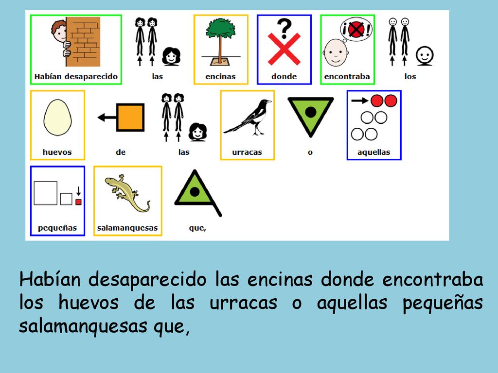 Habían desaparecido las encinas donde encontraba los huevos de las urracas o aquellas pequeñas salamanquesas que,