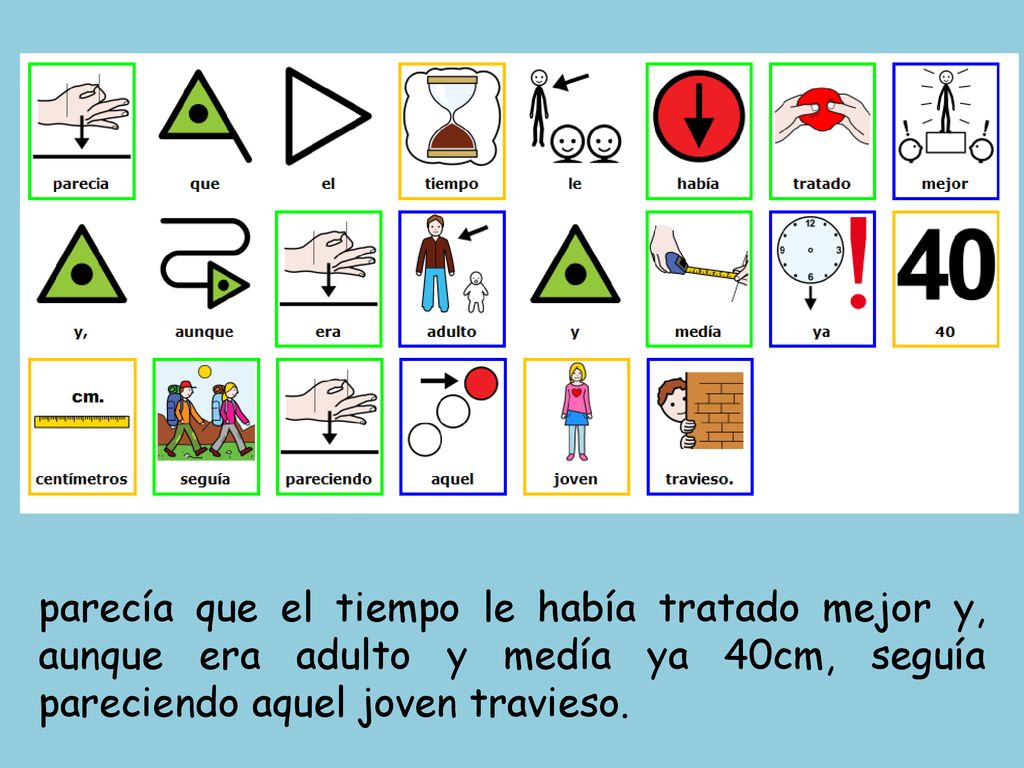 parecía que el tiempo le había tratado mejor y, aunque era adulto y medía ya 40cm, seguía pareciendo aquel joven travieso.