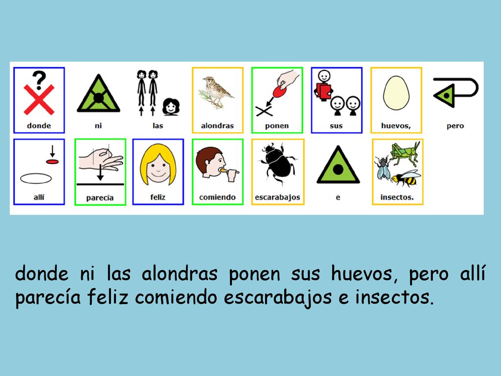 donde ni las alondras ponen sus huevos, pero allí parecía feliz comiendo escarabajos e insectos.