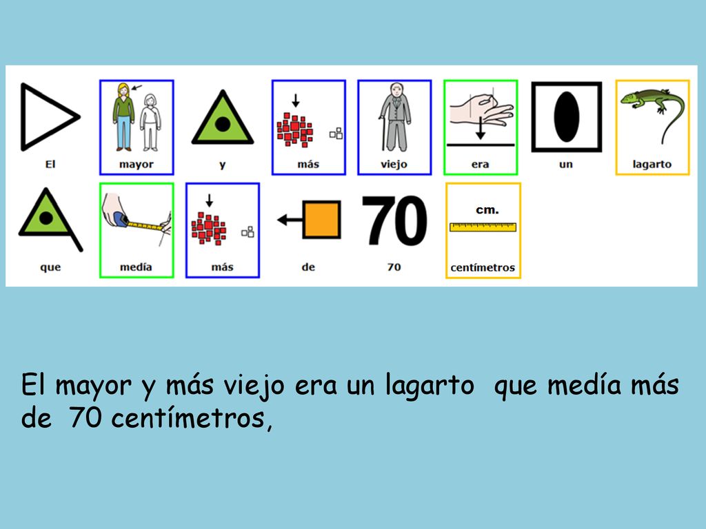 El mayor y más viejo era un lagarto que medía más de 70 centímetros,