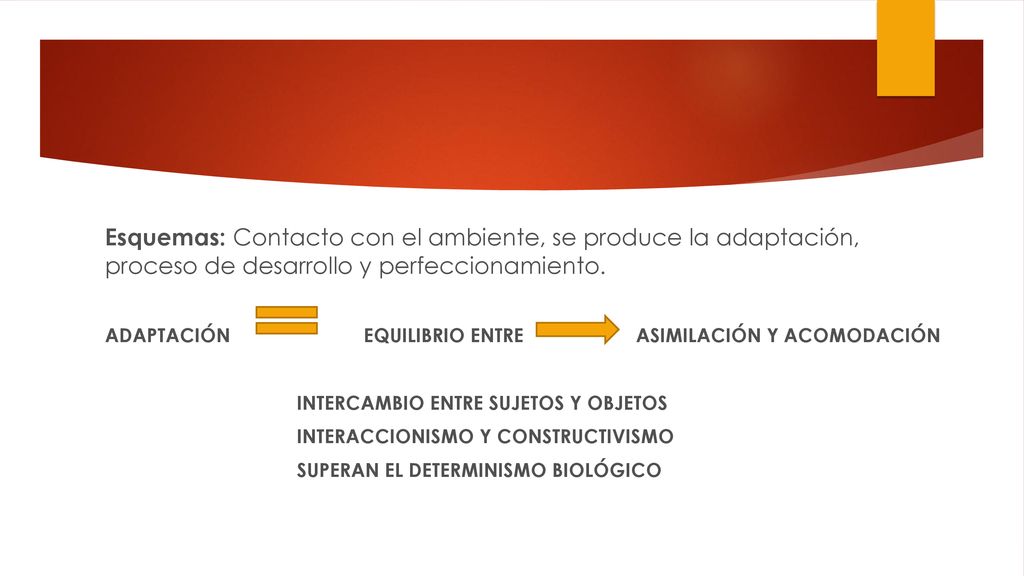 Esquemas: Contacto con el ambiente, se produce la adaptación, proceso de desarrollo y perfeccionamiento.