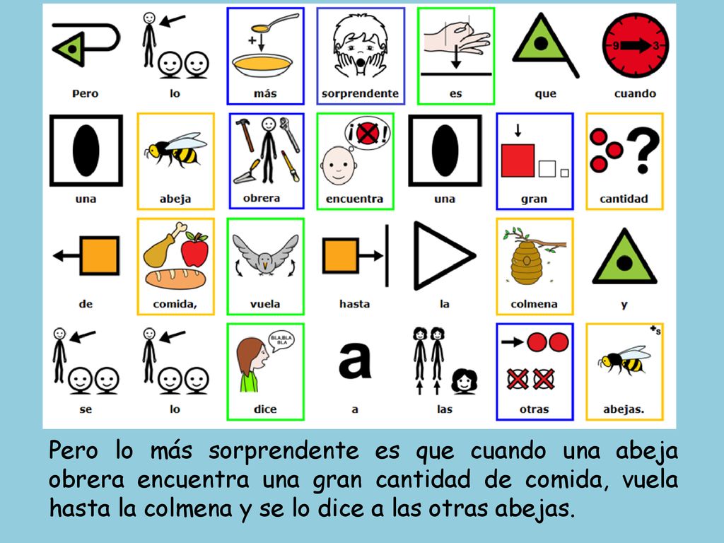 Pero lo más sorprendente es que cuando una abeja obrera encuentra una gran cantidad de comida, vuela hasta la colmena y se lo dice a las otras abejas.