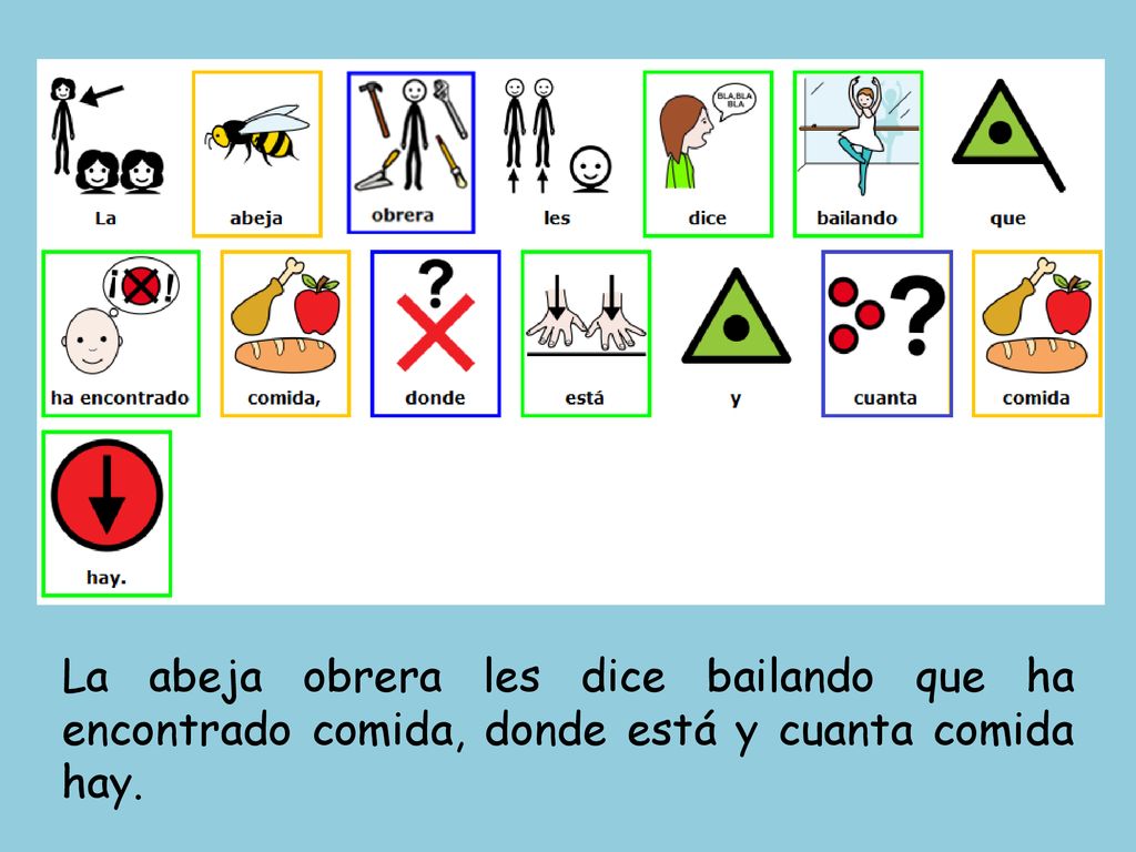 La abeja obrera les dice bailando que ha encontrado comida, donde está y cuanta comida hay.