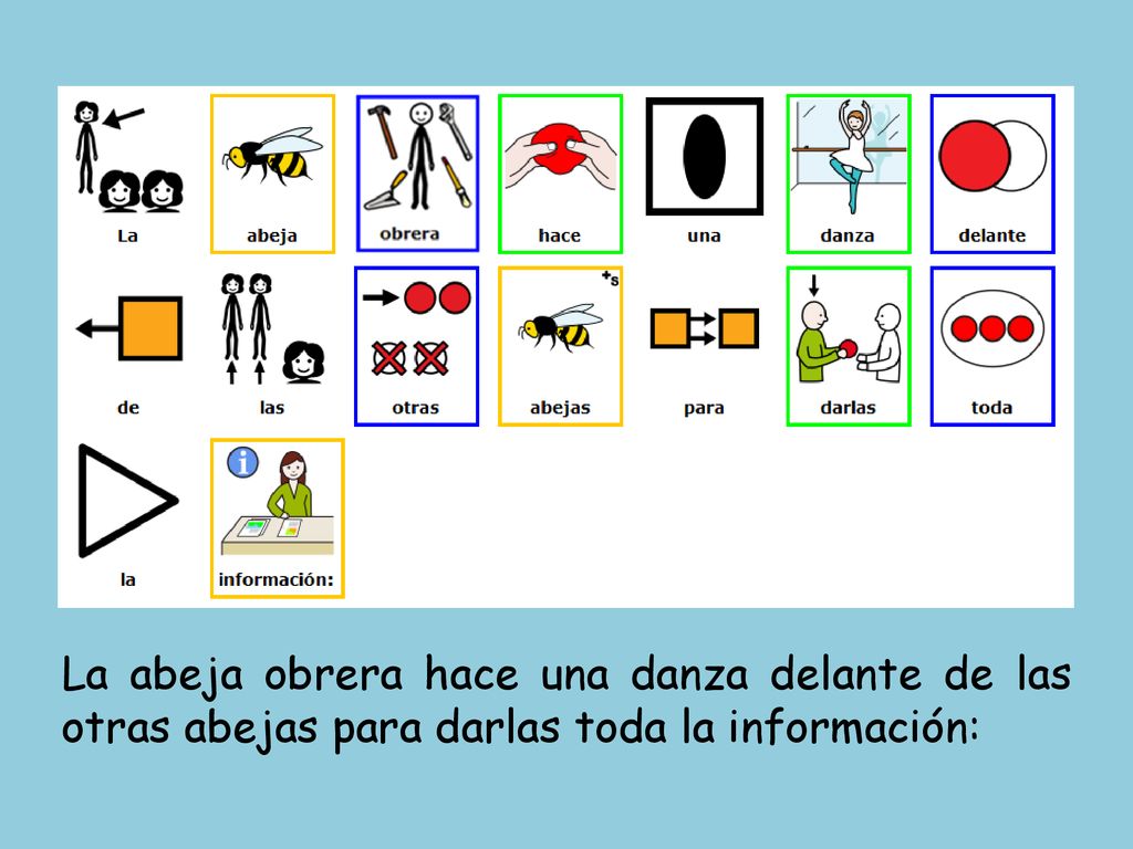 La abeja obrera hace una danza delante de las otras abejas para darlas toda la información: