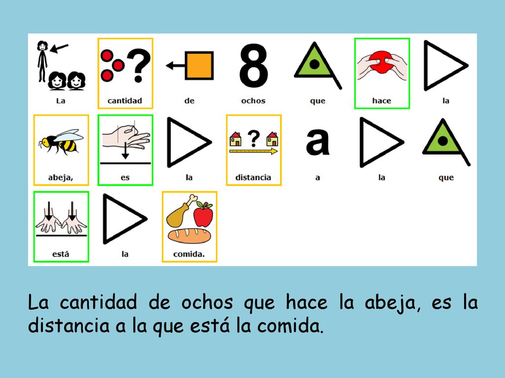 La cantidad de ochos que hace la abeja, es la distancia a la que está la comida.