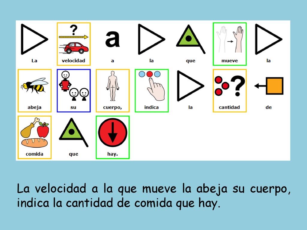 La velocidad a la que mueve la abeja su cuerpo, indica la cantidad de comida que hay.