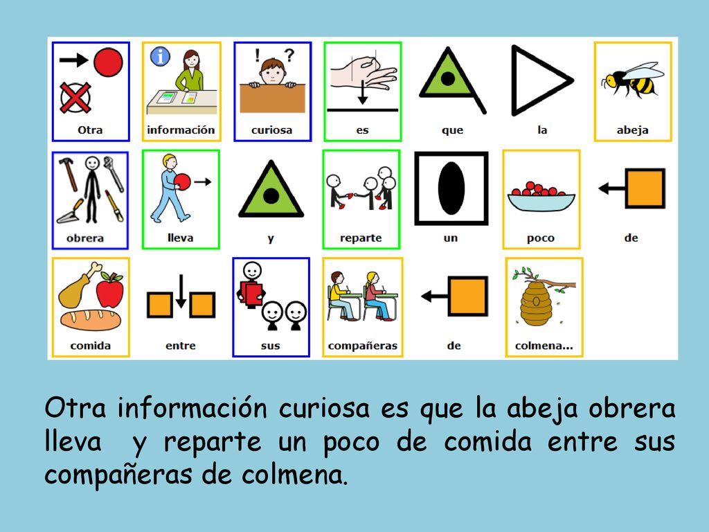 Otra información curiosa es que la abeja obrera lleva y reparte un poco de comida entre sus compañeras de colmena.