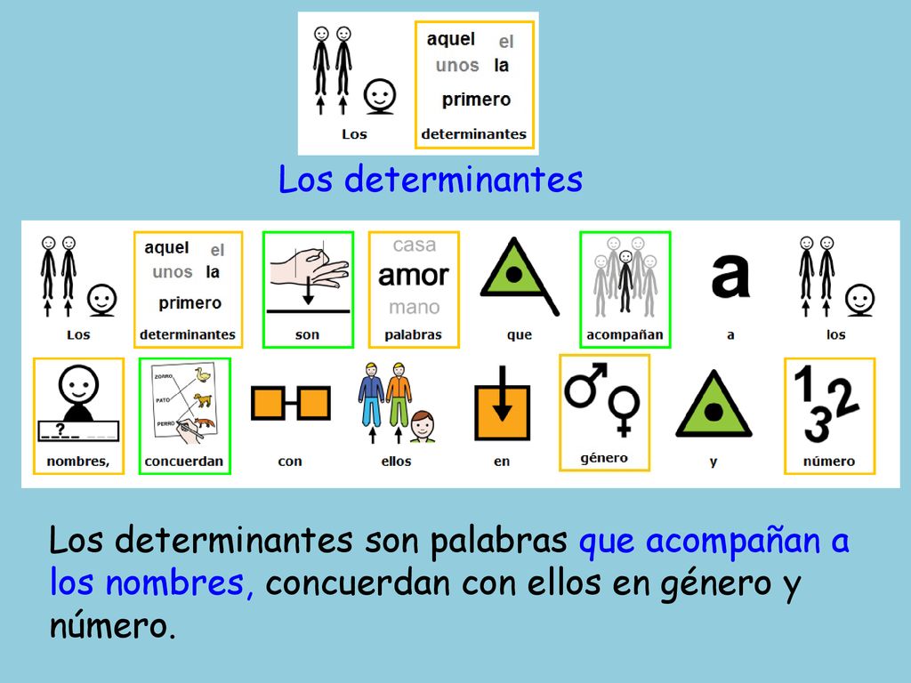 Los determinantes Los determinantes son palabras que acompañan a los nombres, concuerdan con ellos en género y número.