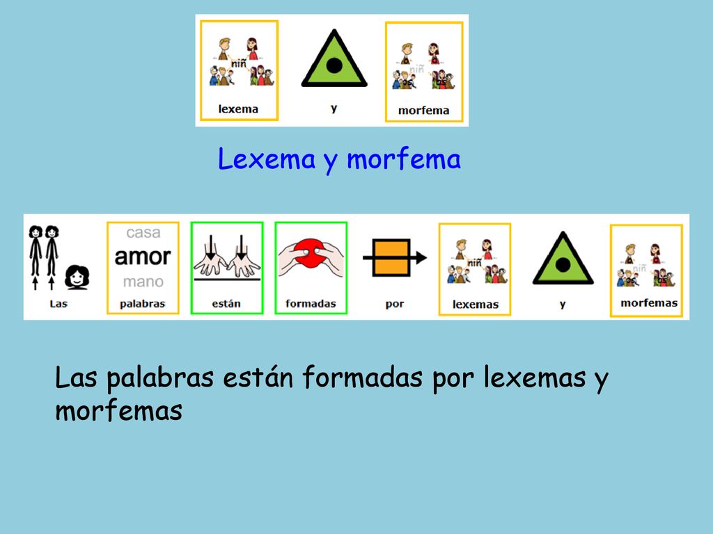 Lexema y morfema Las palabras están formadas por lexemas y morfemas