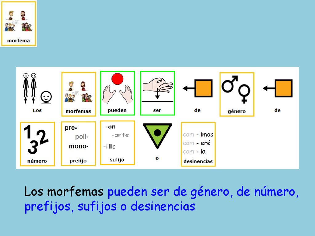 Los morfemas pueden ser de género, de número, prefijos, sufijos o desinencias