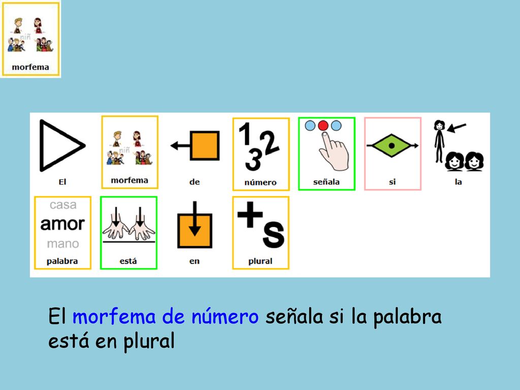 El morfema de número señala si la palabra está en plural