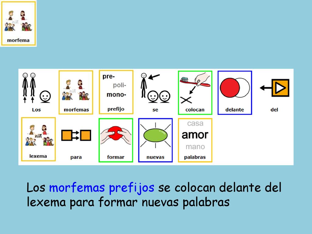 Los morfemas prefijos se colocan delante del lexema para formar nuevas palabras