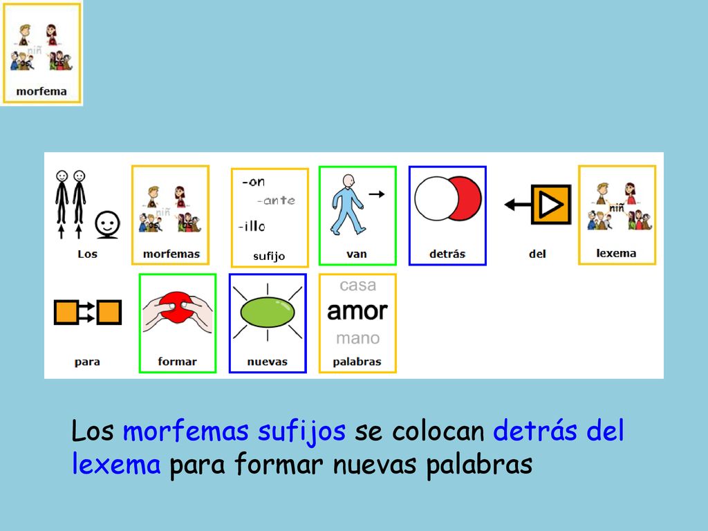 Los morfemas sufijos se colocan detrás del lexema para formar nuevas palabras