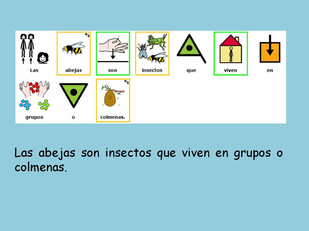 Las abejas son insectos que viven en grupos o colmenas.
