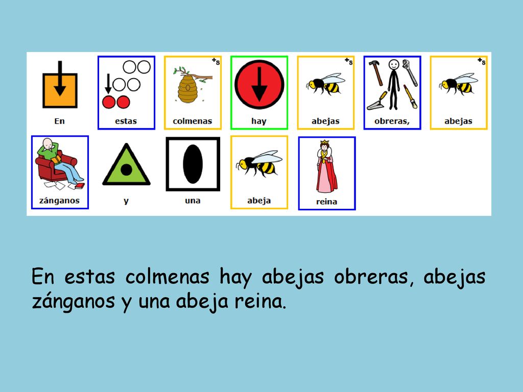 En estas colmenas hay abejas obreras, abejas zánganos y una abeja reina.