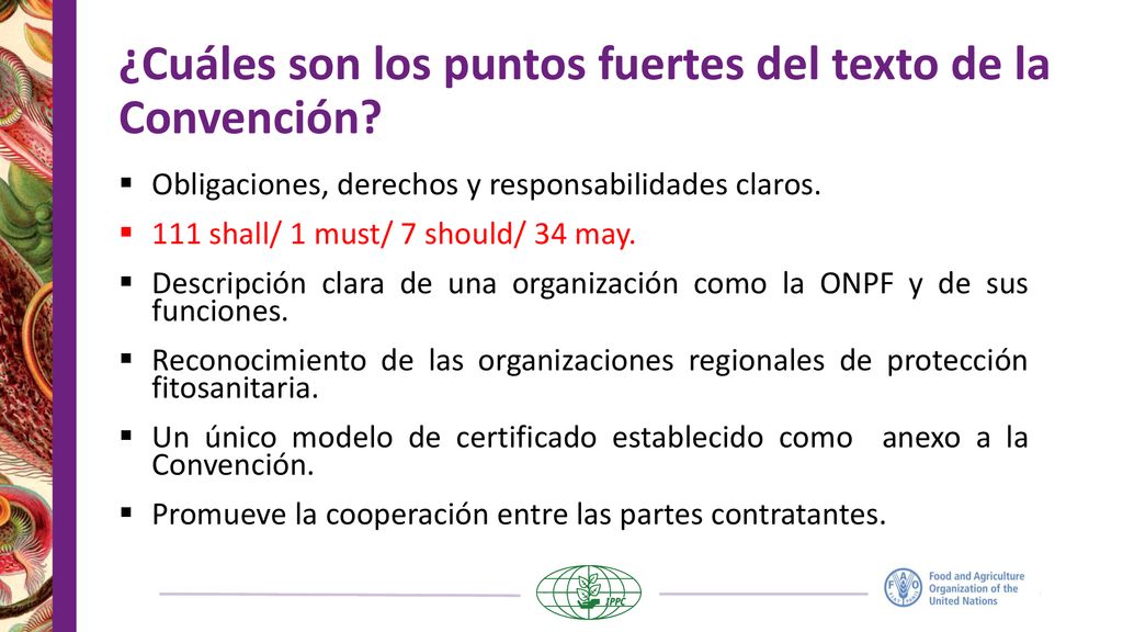 ¿Cuáles son los puntos fuertes del texto de la Convención