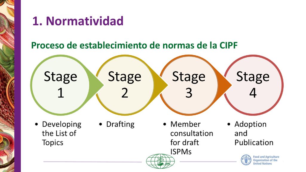 1. Normatividad Proceso de establecimiento de normas de la CIPF