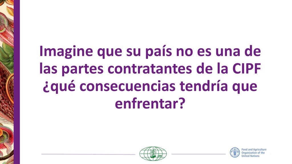Imagine que su país no es una de las partes contratantes de la CIPF ¿qué consecuencias tendría que enfrentar