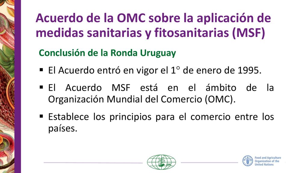 Acuerdo de la OMC sobre la aplicación de medidas sanitarias y fitosanitarias (MSF)