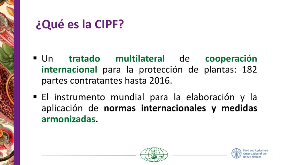 ¿Qué es la CIPF Un tratado multilateral de cooperación internacional para la protección de plantas: 182 partes contratantes hasta
