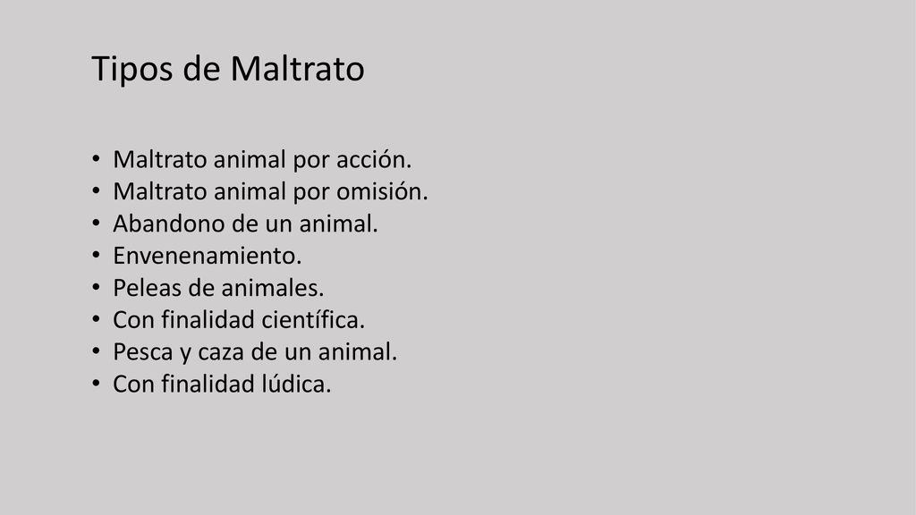 Tipos de Maltrato Maltrato animal por acción.