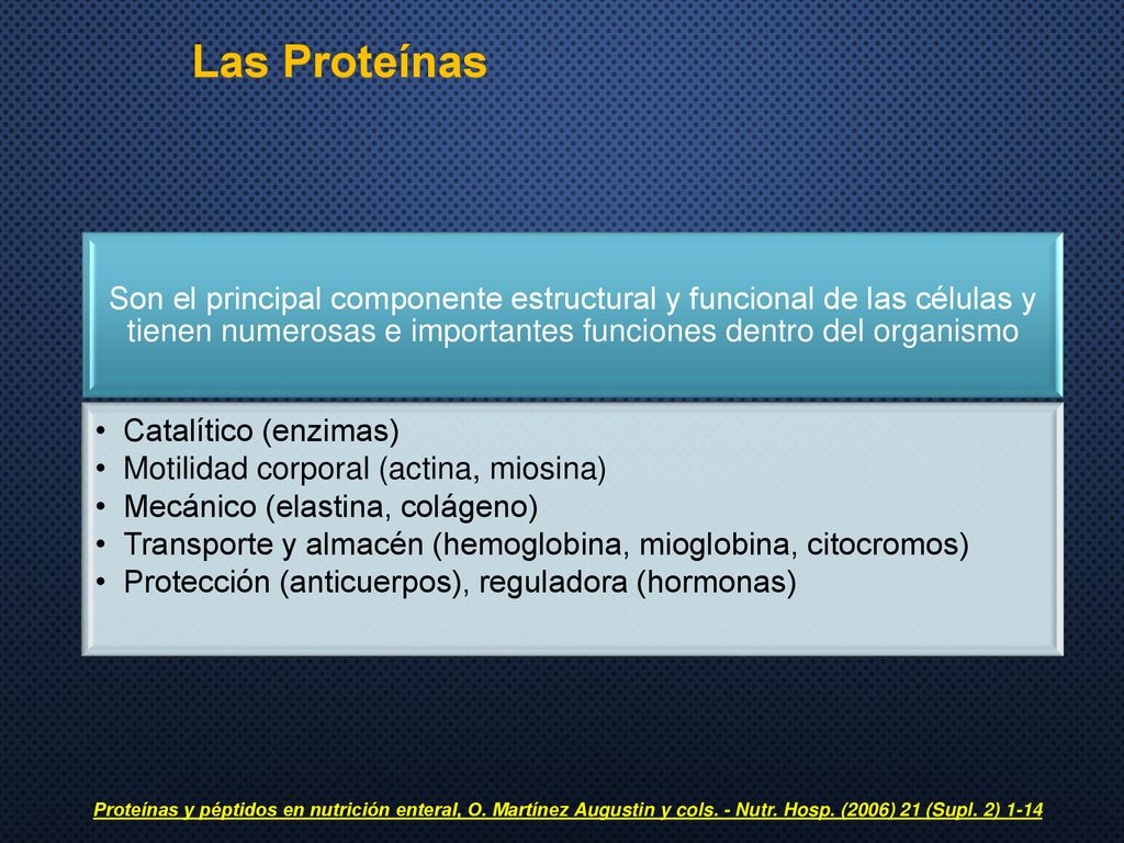 Las Proteínas Son el principal componente estructural y funcional de las células y tienen numerosas e importantes funciones dentro del organismo.