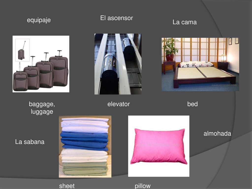 El ascensor equipaje La cama baggage, luggage elevator bed almohada La sabana sheet pillow
