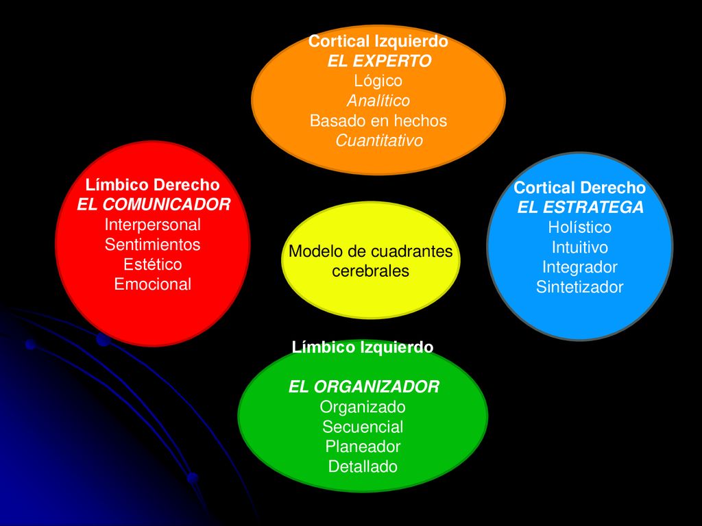 Límbico Derecho EL COMUNICADOR. Interpersonal. Sentimientos. Estético. Emocional. Límbico Izquierdo.