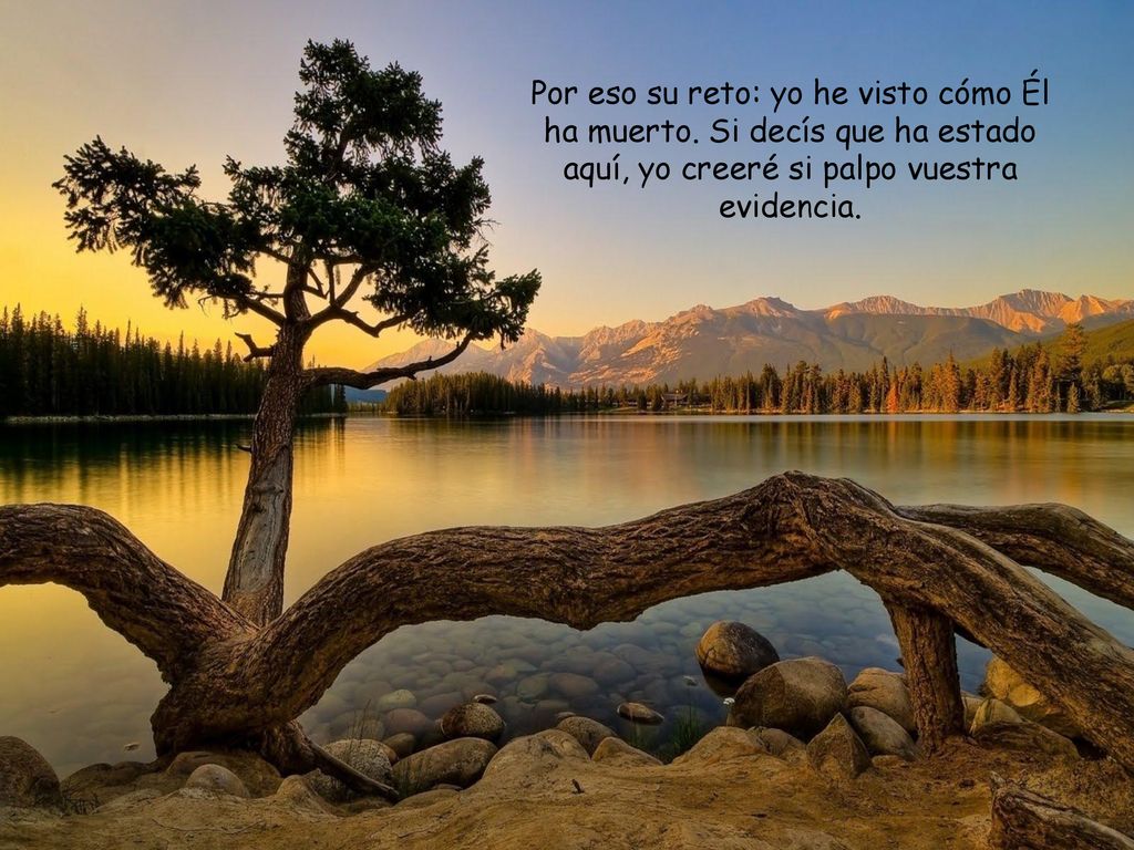 Por eso su reto: yo he visto cómo Él ha muerto