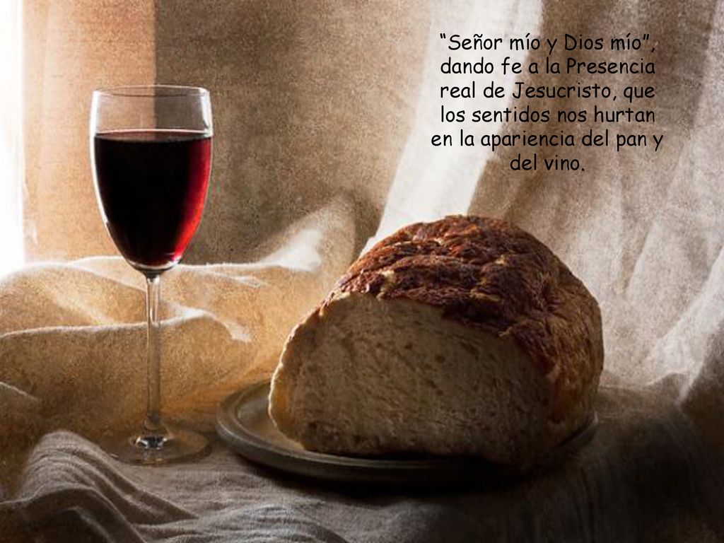 Señor mío y Dios mío , dando fe a la Presencia real de Jesucristo, que los sentidos nos hurtan en la apariencia del pan y del vino.
