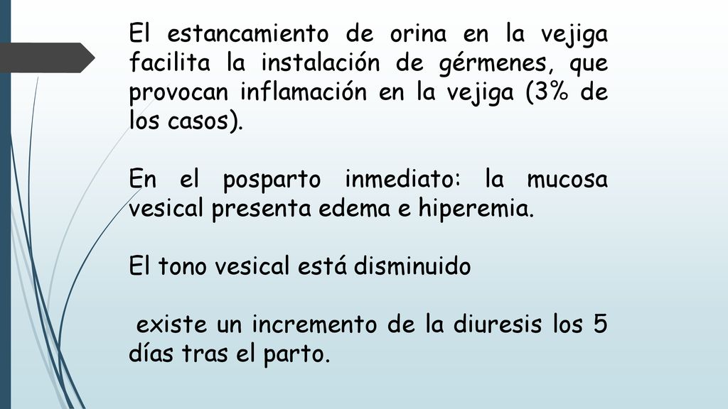 El estancamiento de orina en la vejiga facilita la instalación de gérmenes, que provocan inflamación en la vejiga (3% de los casos).